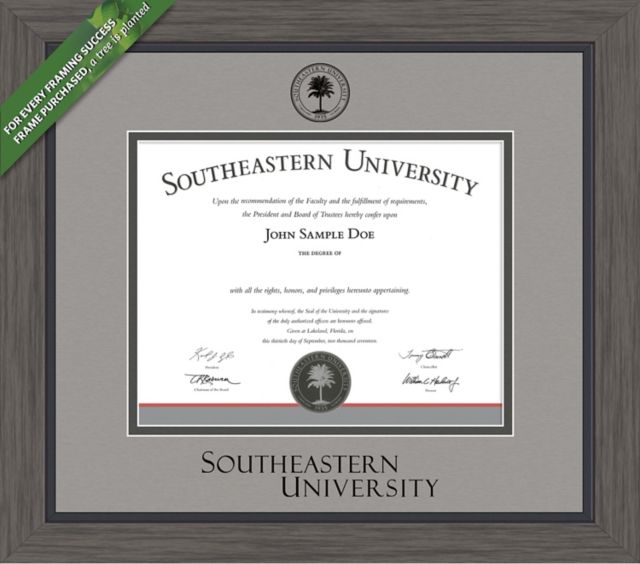 Framing Success Greystone 11 x 14 Masters Diploma with Double mat- ONLINE ONLY