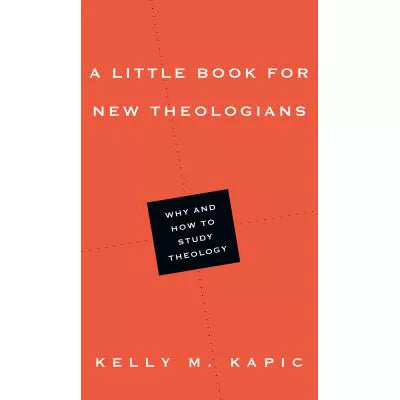 A Little Book for New Theologians