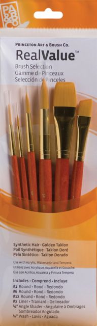 BRSH GOLDEN TAKLON 6/PK S/H
